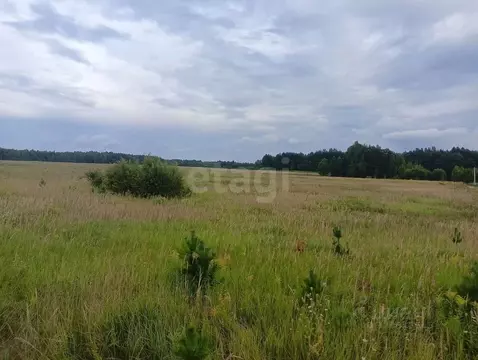 Участок в Тульская область, Алексин городской округ, д. Мясоедово  ...