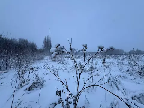 Участок в Московская область, Волоколамский муниципальный округ, д. ...