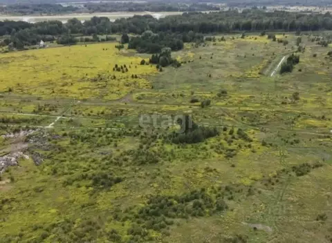 Участок в Калининградская область, Зеленоградский муниципальный округ, ...