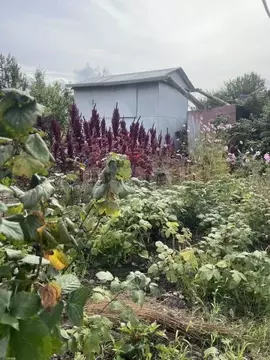 Участок в Брянская область, Брянский район, Снежское с/пос, с. ...