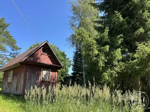 Участок в Ленинградская область, Всеволожский район, Куйвозовское ...
