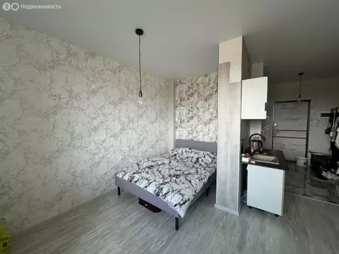 Квартира-студия: Шелехов, 3-й микрорайон, 46 (24.7 м)