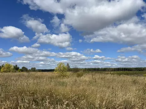 Участок в Московская область, Павлово-Посадский городской округ, д. ...