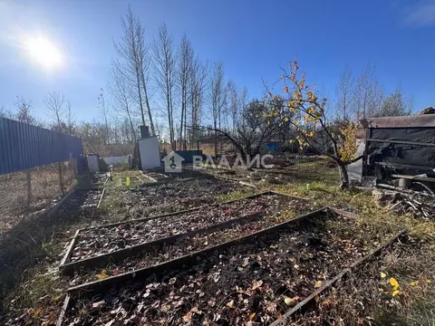 Участок в Саратовская область, Балаковский район, Натальинское ...