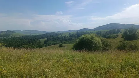 Участок в Алтайский край, Алтайский район, Айский сельсовет  (82000.0 ...