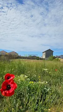 Участок в Крым, Евпатория городской округ, Заозерное пгт ул. ...