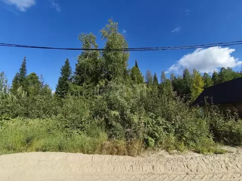 Участок в Ханты-Мансийский АО, Ханты-Мансийск Лимпопо СОТ,  (11.8 ...