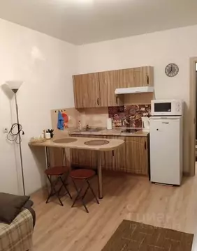 Студия Санкт-Петербург просп. Королева, 59к1 (21.5 м)