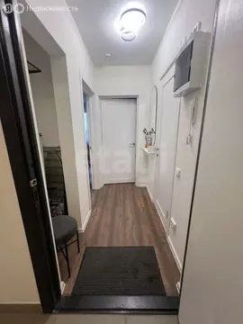 2-комнатная квартира: Санкт-Петербург, Пейзажная улица, 24к3 (31.1 м)