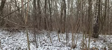 Участок в Московская область, Подольск городской округ, пос. Быково ...