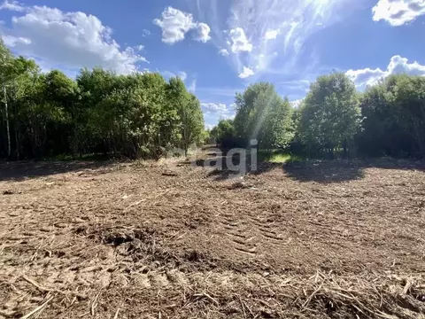 Участок в Костромская область, Костромской район, Самсоновское с/пос, ...
