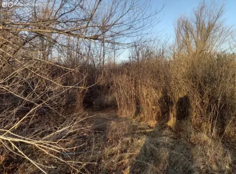 Участок в Сакмарский район, Татаро-Каргалинский сельсовет, СНТ Сокол, ...