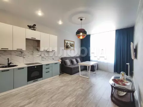 Таунхаус в Новосибирская область, Новосибирский район, Мочищенский ...