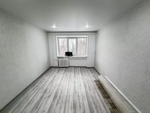 Студия Пензенская область, Пенза ул. Беляева, 41 (17.2 м)