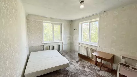 1-к кв. Московская область, Электросталь Коллективная ул., 24а (30.2 ...