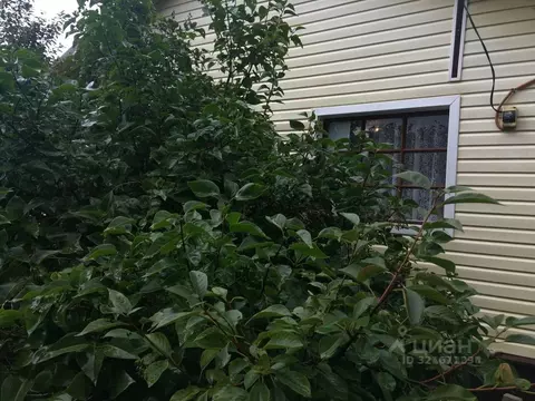 Участок в Ленинградская область, Гатчинский муниципальный округ, Ухта ...