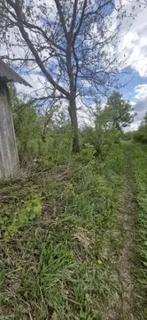 Дом в Брянская область, Брянский район, Снежское с/пос, с. Толмачево, ...