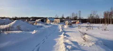 Участок в Новосибирская область, Новосибирский район, Барышевский ...