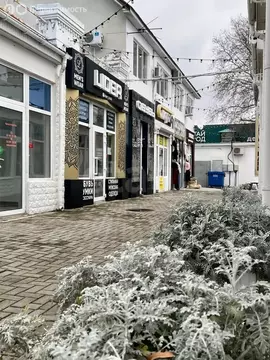 Помещение свободного назначения (38 м)