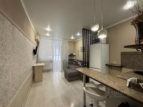 Студия Краснодарский край, Анапа Парковая ул., 61к4 (26.0 м)