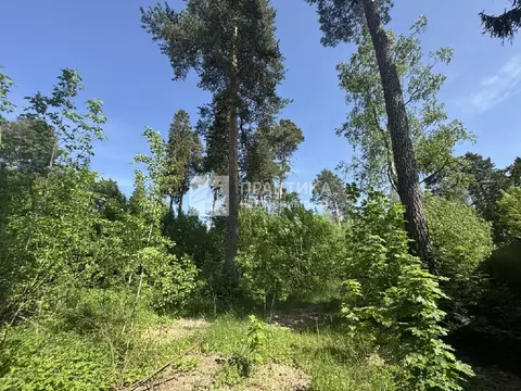 Продается участок в г. Пушкино