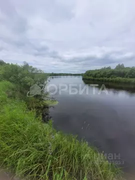 Участок в Тюменская область, Тюменский муниципальный округ, с. Успенка ...