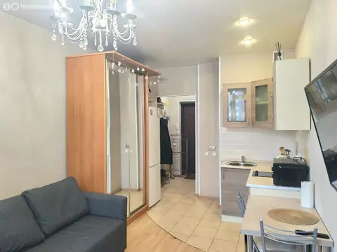 Квартира-студия: Санкт-Петербург, Богатырский проспект, 49к1 (23 м)