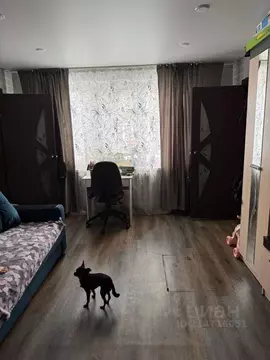 3-к кв. Хакасия, Абакан Западная ул., 53 (48.3 м)