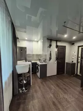 Студия Амурская область, Благовещенск Партизанская ул., 49/1 (18.1 м)