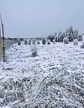 Участок в Удмуртия, Воткинский район, с. Июльское ул. Виноградная, 40 ...