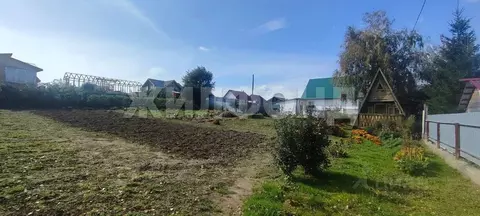 Участок в Новосибирская область, Бердск Заречное садовое товарищество, ...