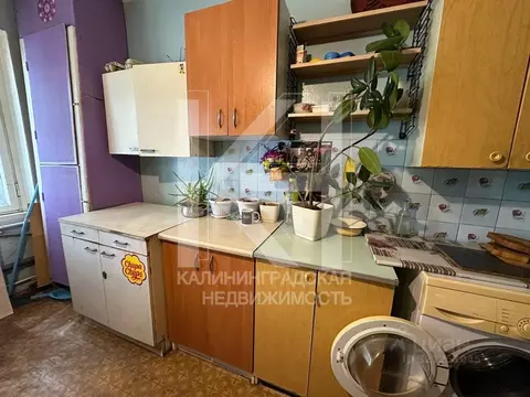 Комната Калининградская область, Калининград ул. Павлика Морозова, 115 ...