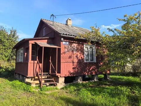 Дом в Ленинградская область, Лужский район, Мшинское с/пос, Мшинская ...