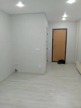 Студия Башкортостан, Уфа ул. Адмирала Макарова, 14 (17.0 м)