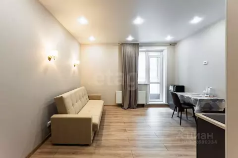 Студия Ульяновская область, Ульяновск Кольцевая ул., 42 (24.0 м)