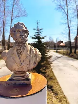 Дом в Омская область, Омский район муниципальный округ, с. Пушкино ул. ...