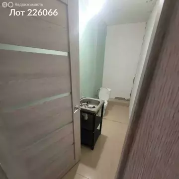 Производственное помещение (250 м)