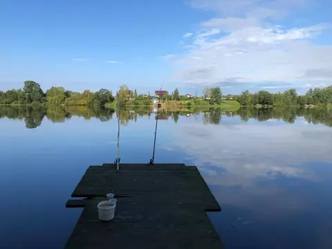 Участок в Ленинградская область, Волховский район, Бережковское с/пос, ...