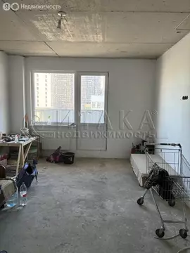 Квартира-студия: посёлок Шушары, Новгородский проспект, 2к1 (25 м)