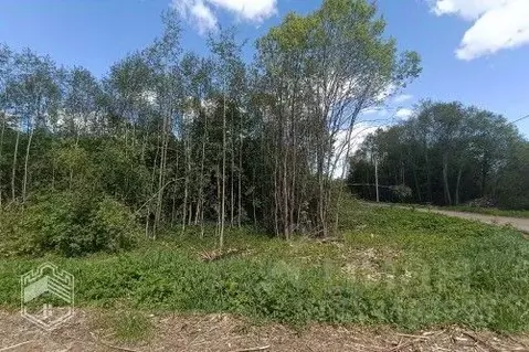 Участок в Новгородская область, Новгородский район, Савинское с/пос, ...