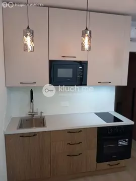 Квартира-студия: Москва, Алтуфьевское шоссе, 55к5 (19.6 м)