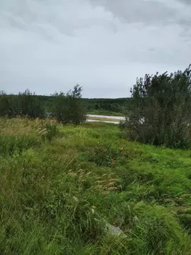 Участок в Пермский край, Ильинский муниципальный округ, с. Филатово  ...