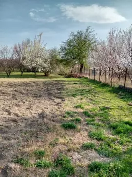 Участок в Краснодарский край, Анапа муниципальный округ, Гостагаевская ...