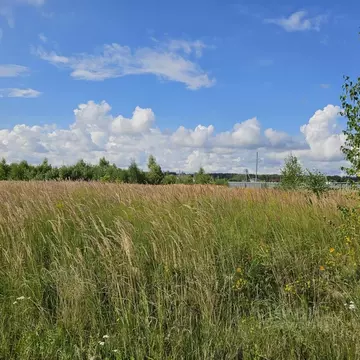 Участок в Московская область, Луховицы муниципальный округ, пос. ...