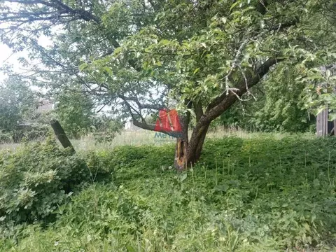 Участок в Ивановская область, Фурмановский район, Широковское с/пос, ...