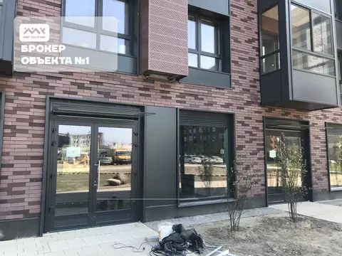 Помещение свободного назначения в Санкт-Петербург ул. Тосина, 1к1 (72 ...