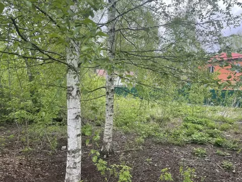 Участок в Московская область, Раменский муниципальный округ, Быково ...