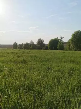Участок в Московская область, Коломна городской округ, д. Дубна  (9.66 ...
