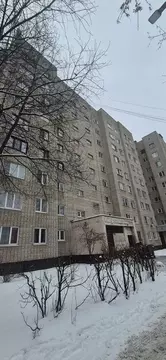 1-к кв. Московская область, Ногинск Богородский городской округ, ул. ...