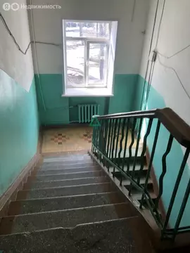 3-комнатная квартира: Уфа, Кольцевая улица, 84 (81.6 м)